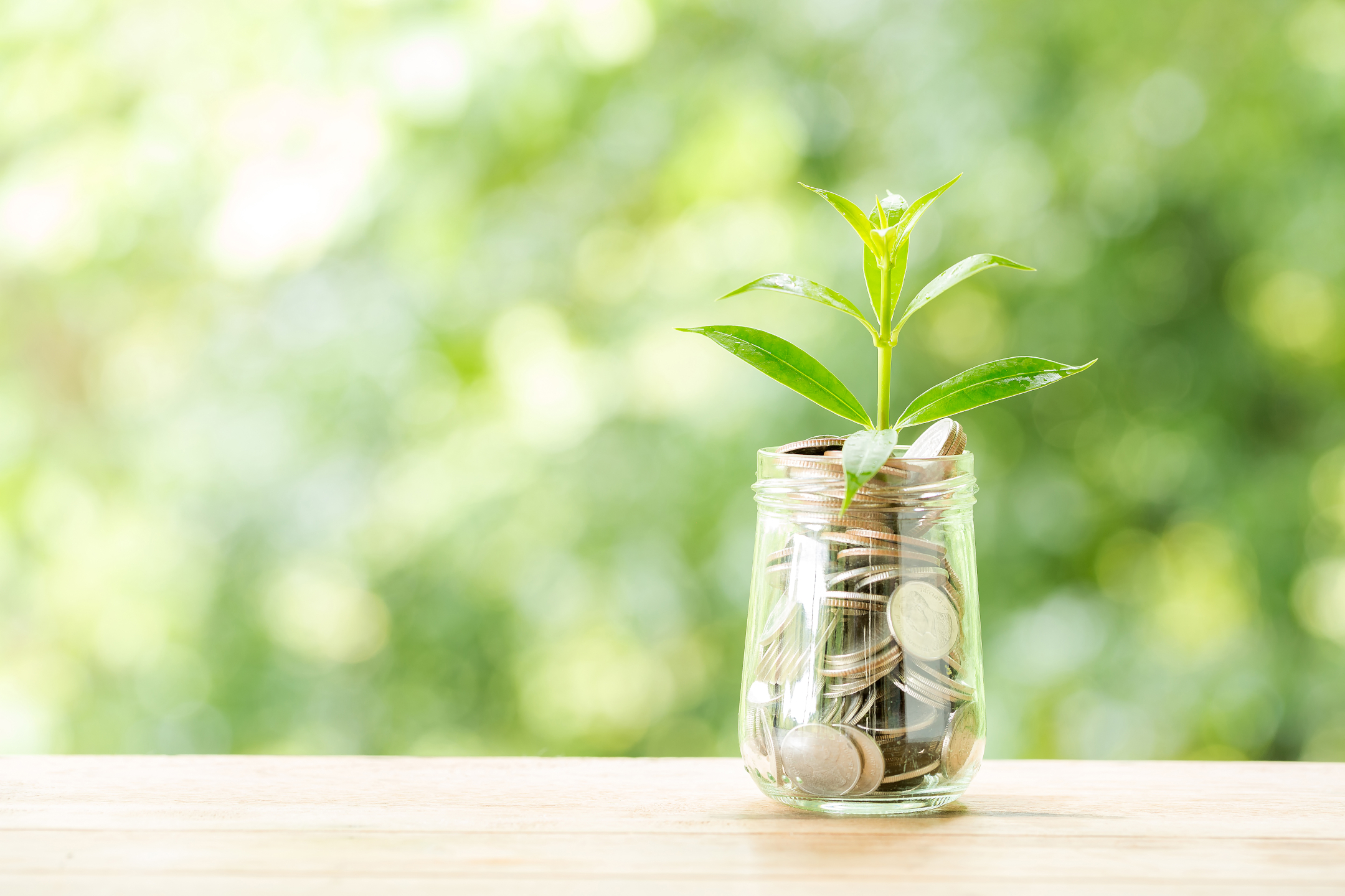 Plants growing from coins in glass jar, blurred background, savings concept